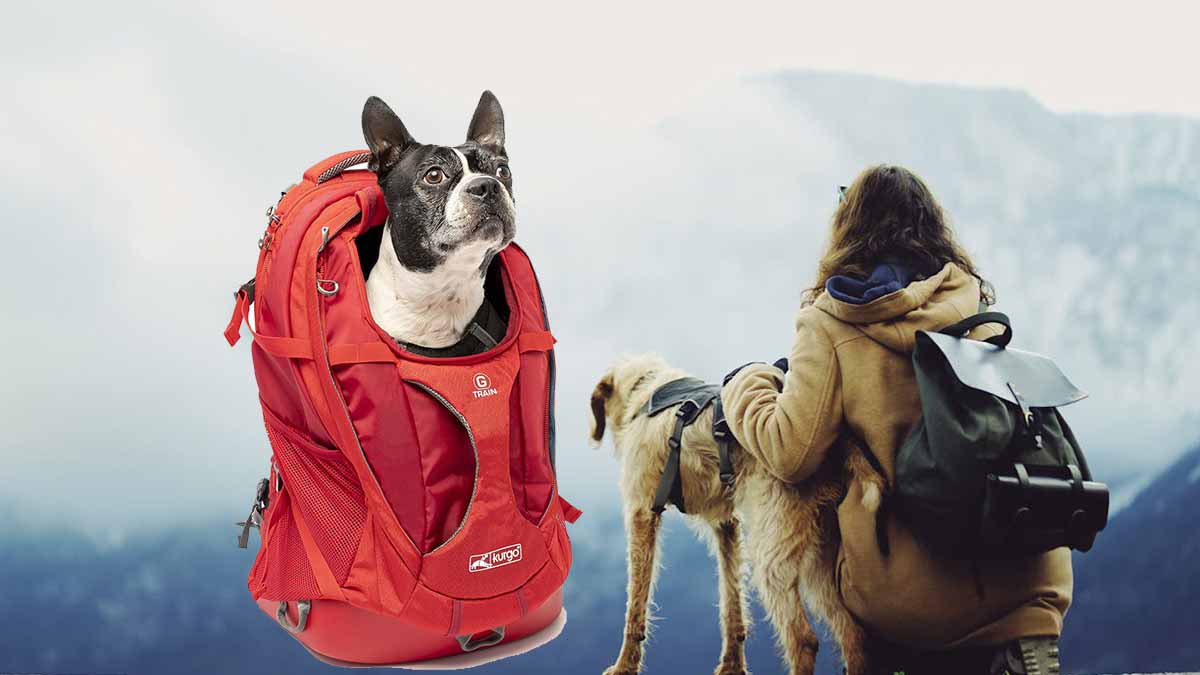 Dog Hiking Backpacks